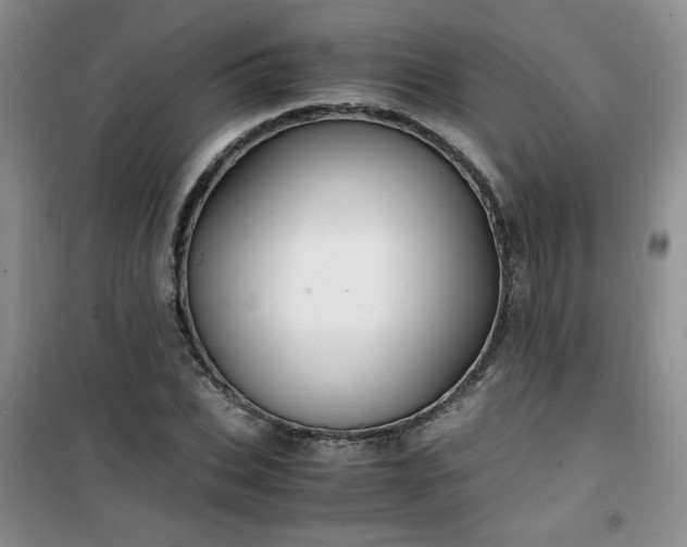 X0000100950927200807081215