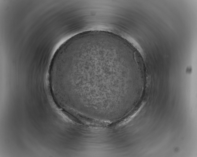 X0000100950928200807081215