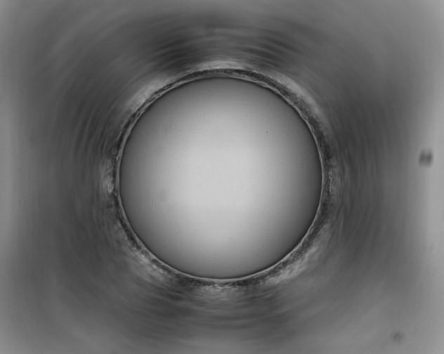 X0000100950929200807081215