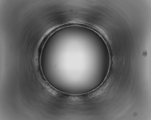 X0000100950931200807081215