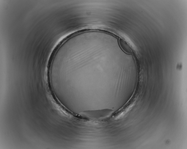 X0000100950932200807081215