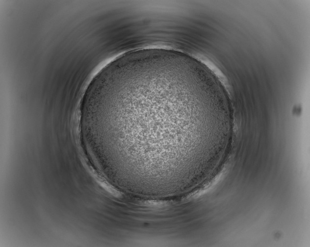 X0000100950933200807081215