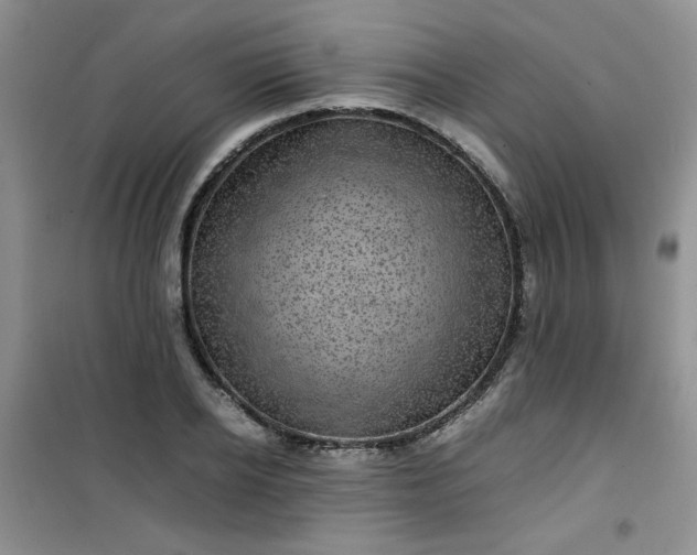 X0000100950934200807081215