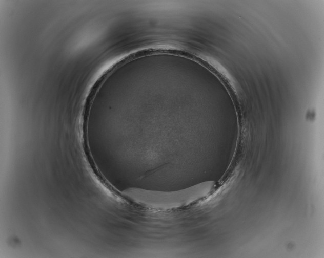 X0000100950935200807081215