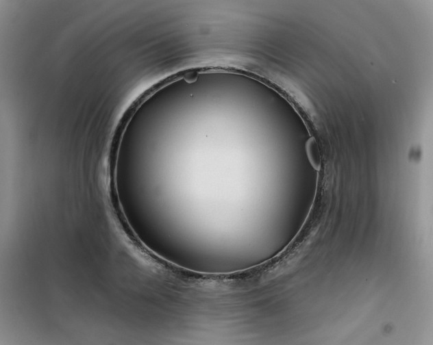 X0000100950936200807081215