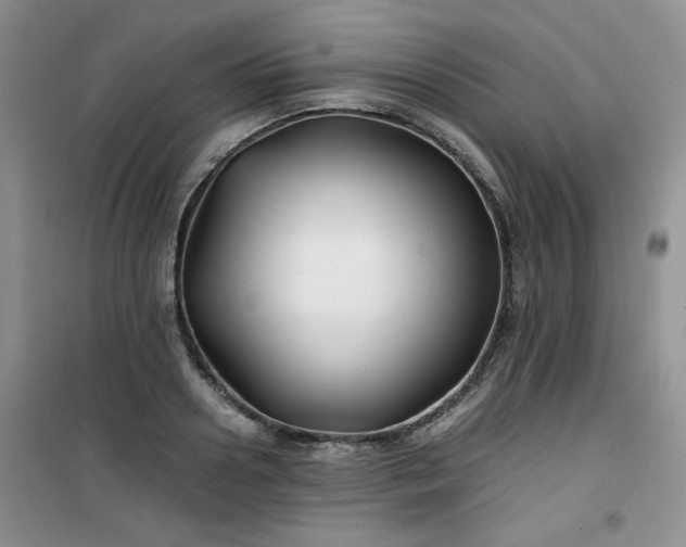 X0000100950938200807081215