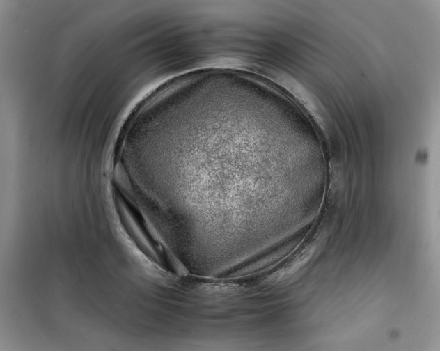 X0000100950939200807081215