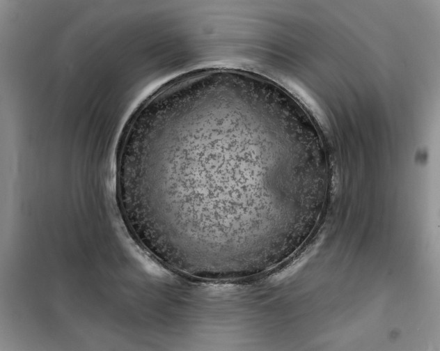 X0000100950940200807081215