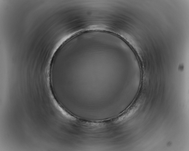 X0000100950941200807081215