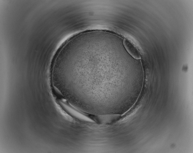 X0000100950942200807081215