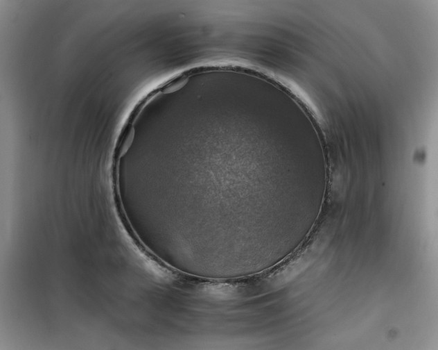 X0000100950943200807081215