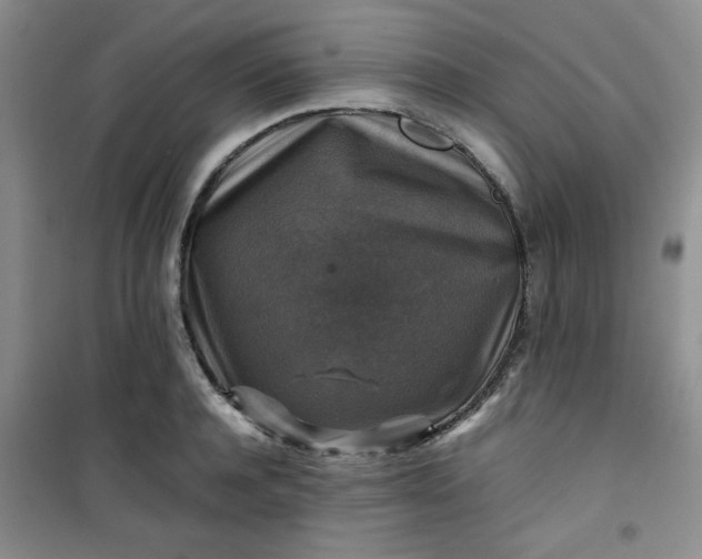 X0000100950944200807081215