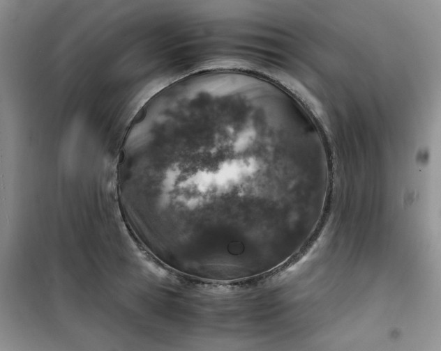 X0000100950945200807081215