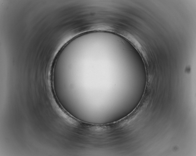 X0000100950947200807081215