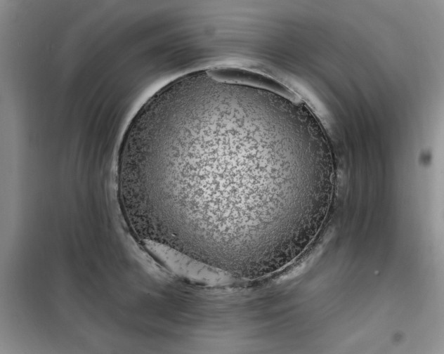 X0000100950948200807081215