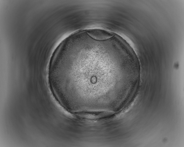 X0000100950949200807081215