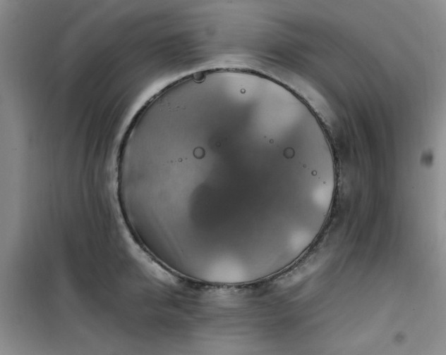 X0000100950950200807081215