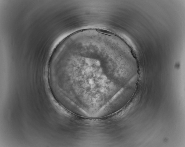 X0000100950952200807081215