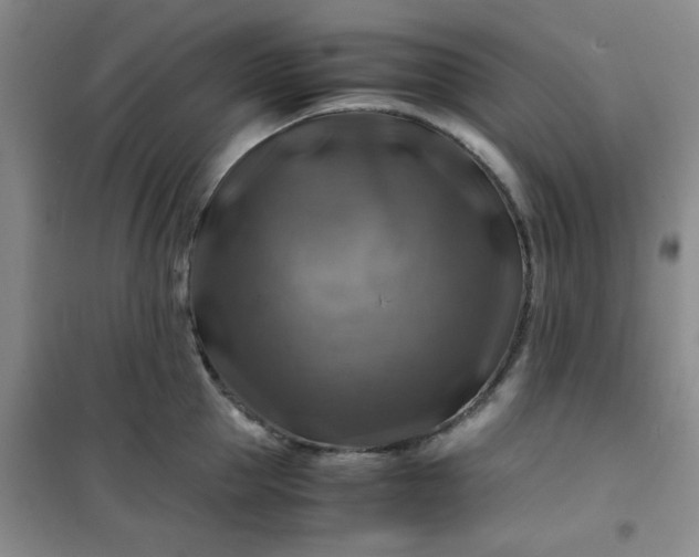 X0000100950953200807081215