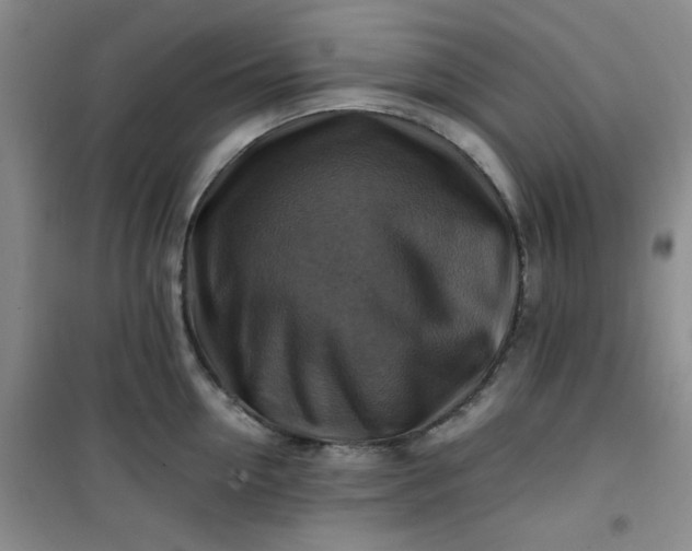 X0000100950954200807081215