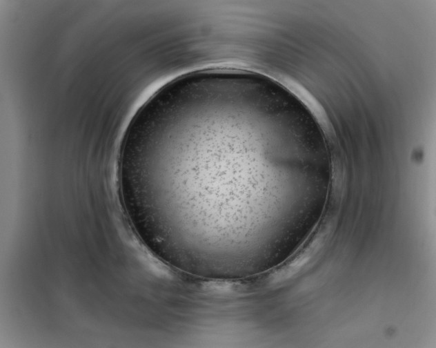 X0000100950956200807081215