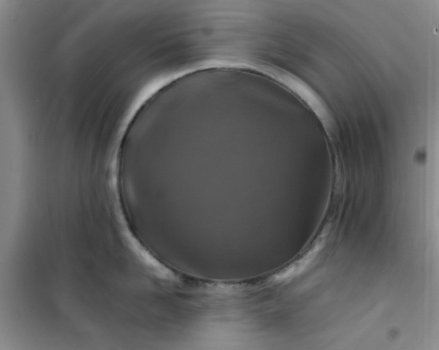 X0000100950958200807081215