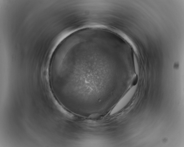 X0000100950959200807081215