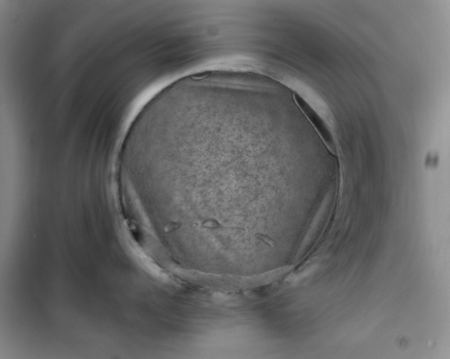 X0000100950960200807081215