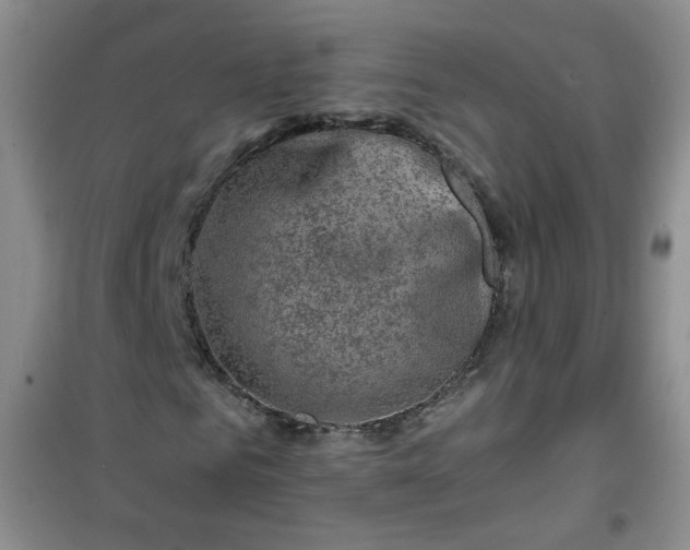 X0000100950961200807081214