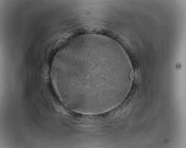 X0000100950963200807081214