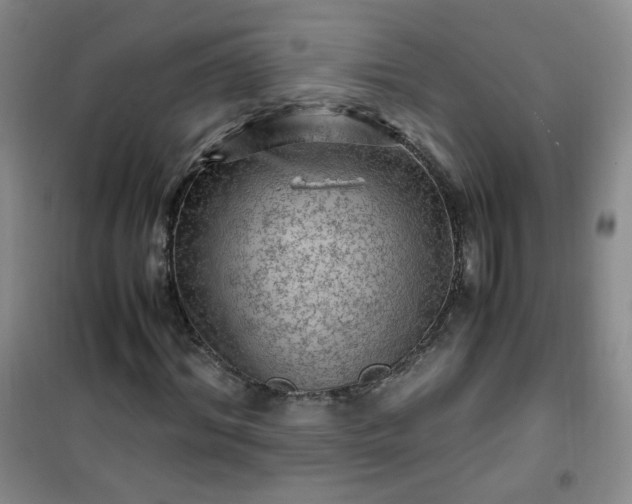 X0000100950964200807081214