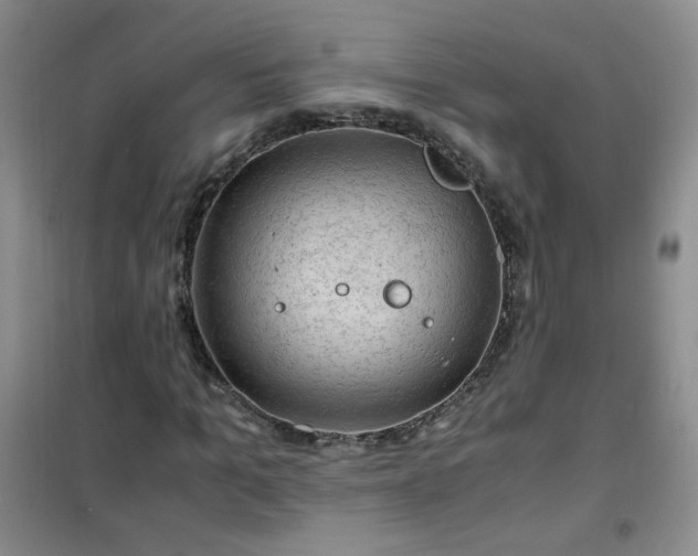 X0000100950965200807081214