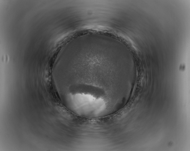 X0000100950966200807081214