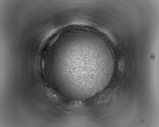 X0000100950968200807081214