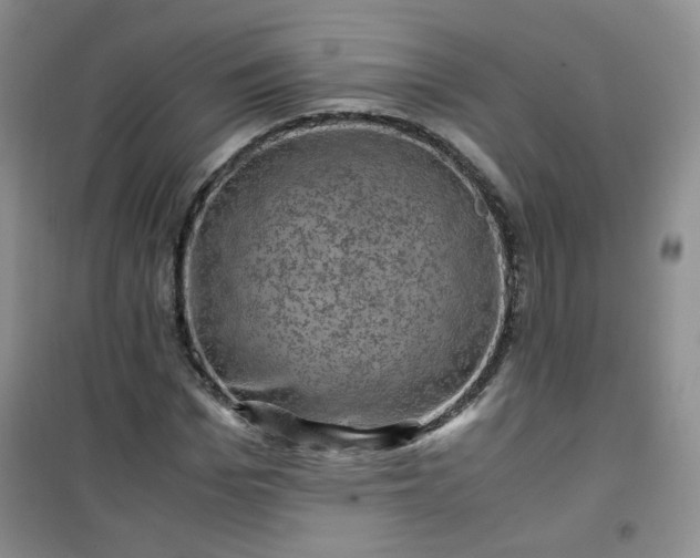 X0000100950969200807081214