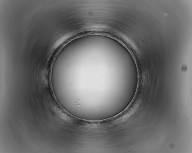 X0000100950970200807081214