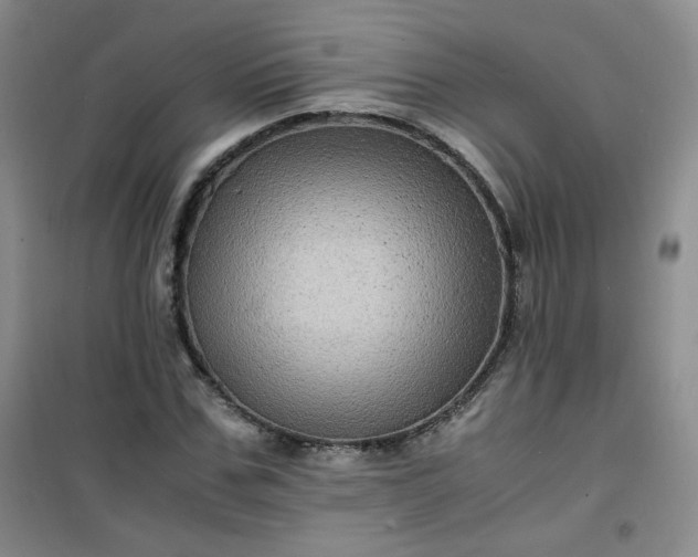 X0000100950971200807081214