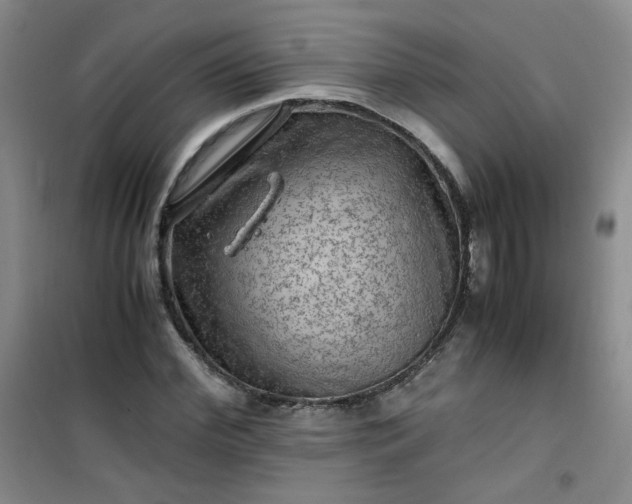 X0000100950972200807081214