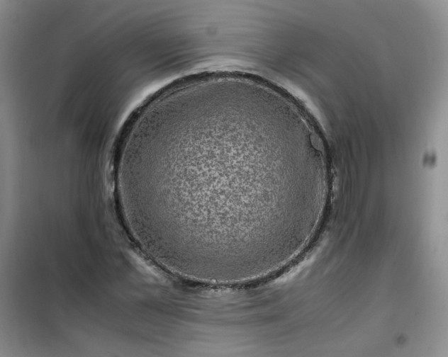 X0000100950973200807081214