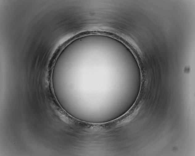 X0000100950974200807081214