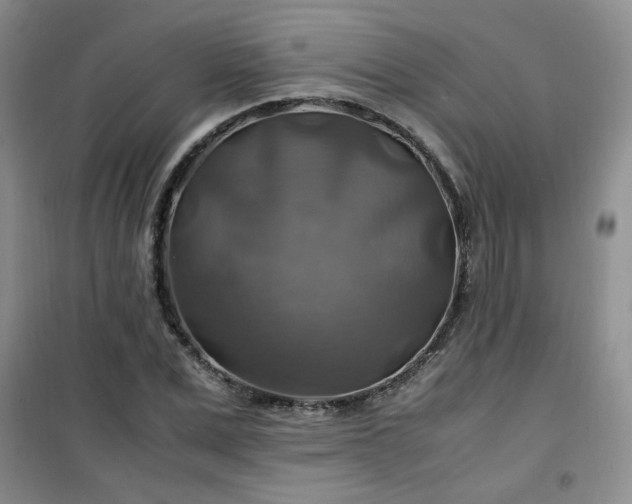 X0000100950975200807081214