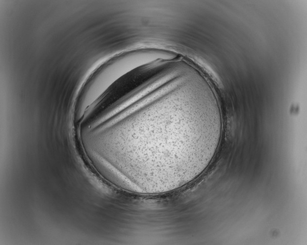 X0000100950976200807081214