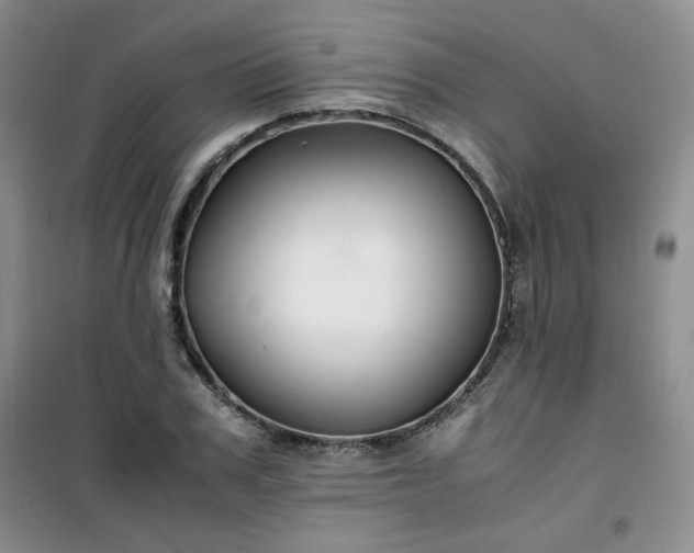 X0000100950979200807081214