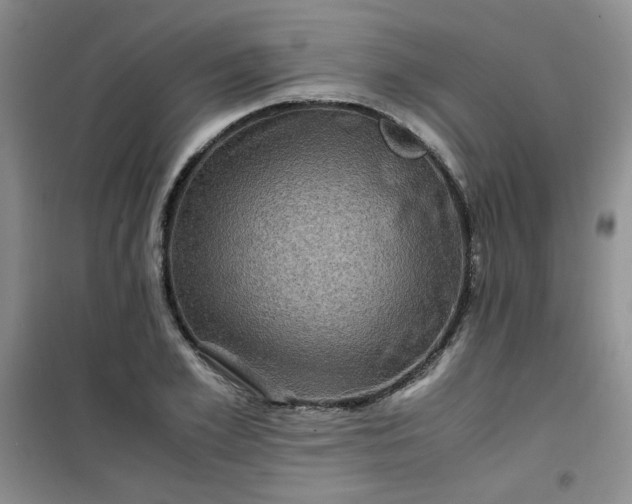 X0000100950981200807081214