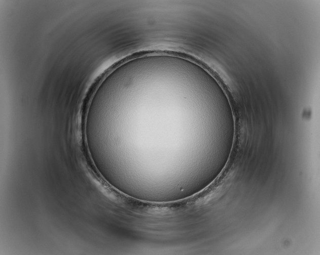 X0000100950982200807081214