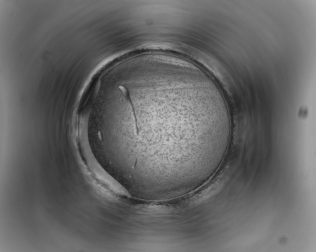 X0000100950984200807081214