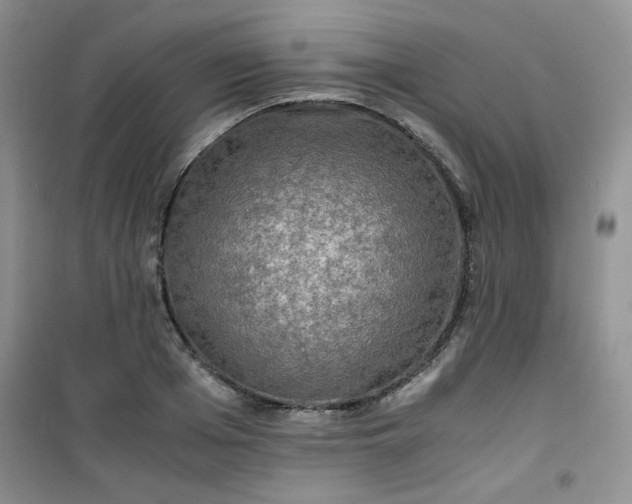 X0000100950985200807081214