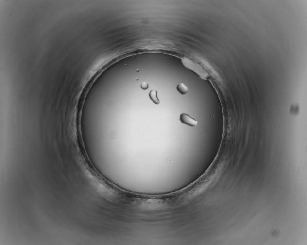 X0000100950986200807081214