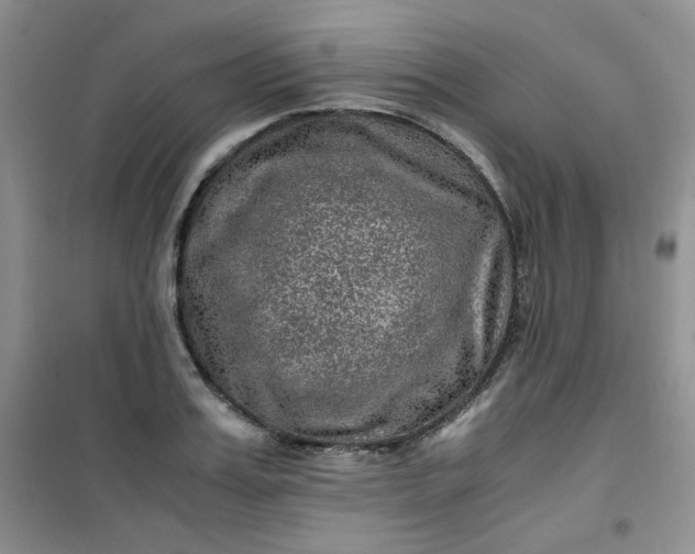 X0000100950987200807081214