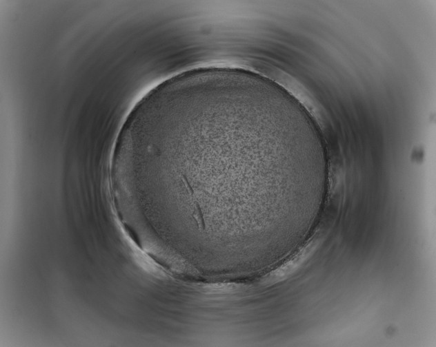 X0000100950988200807081214